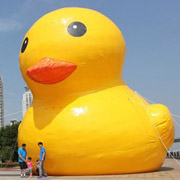 inflatable christmas ducks
